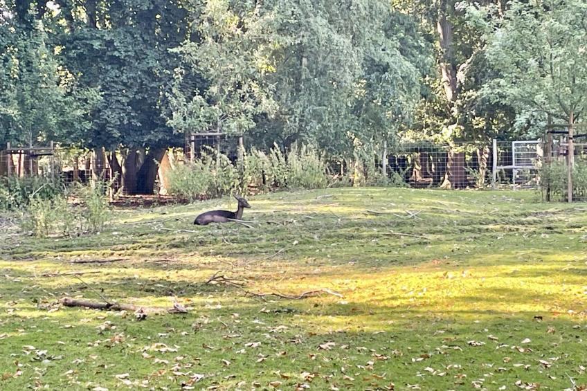 Stadt-Oase - Kliniken, Bali-T., GOP, Parkplatz , Netflix - foto 28