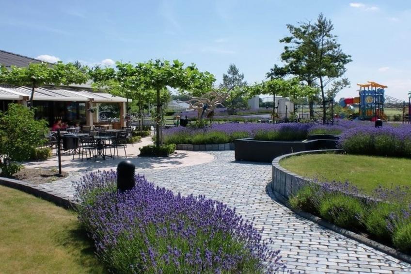 Parc du Soleil - foto 37