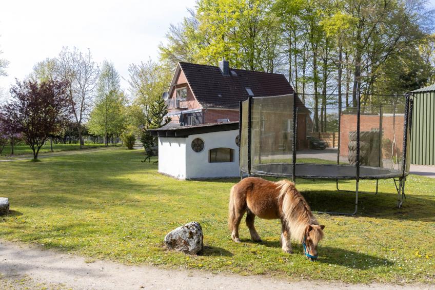 Landliebe - foto 30