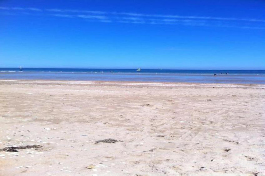 Domaine des Dunettes - foto 24