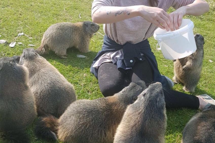 in Pruggern mit Terrasse und Garten - foto 44