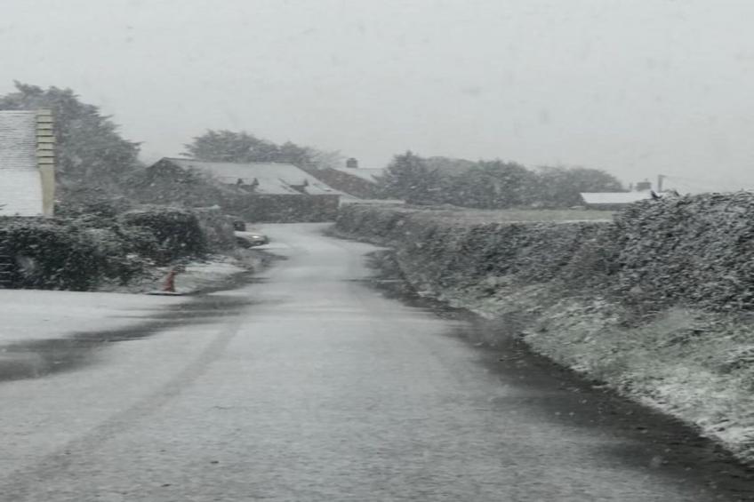 Netley Hall - Rose - foto 36