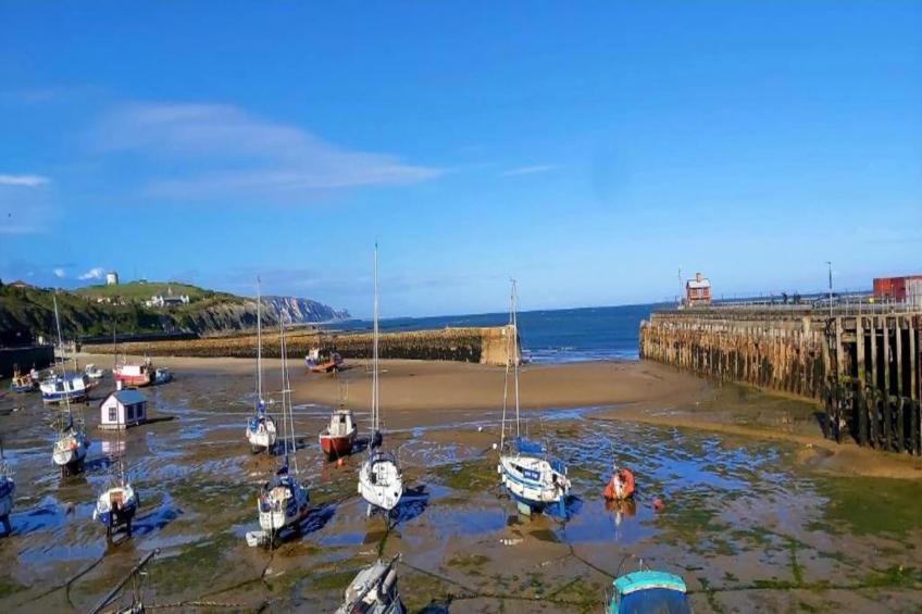 Golden Swan House - foto 31