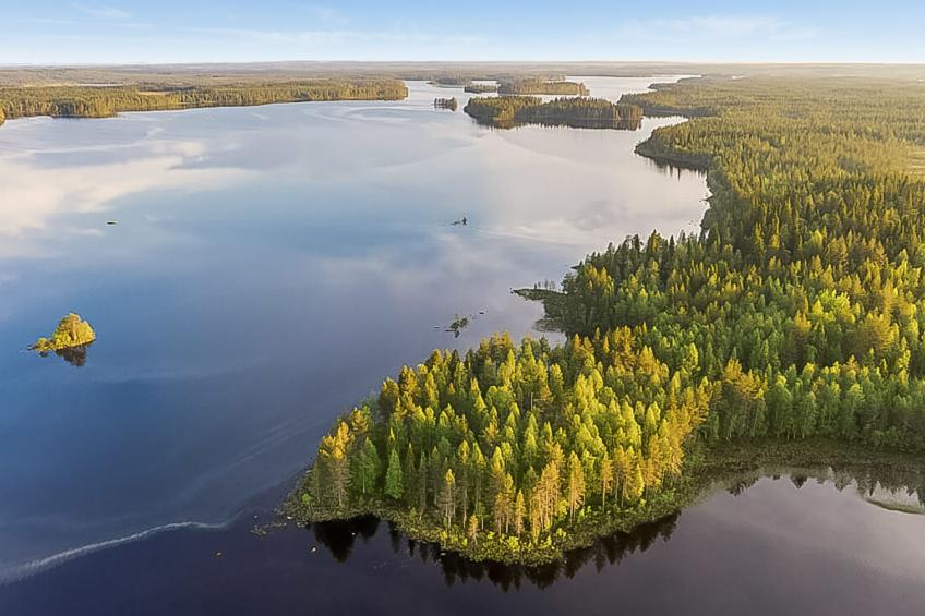 Virsuniemi - foto 27