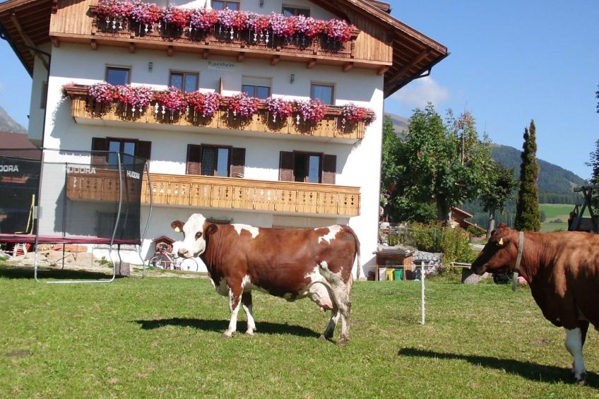 Rosenheim Appartement 2 - foto 7