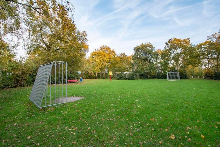 Campanula 52 - foto 27