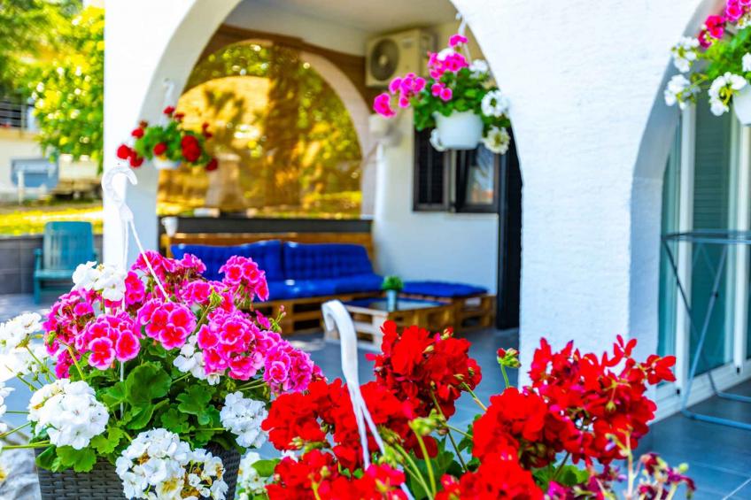 Holiday apartment mit Terrasse - BF-XB5R2