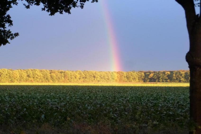 De Drentsche Patrijs - foto 34