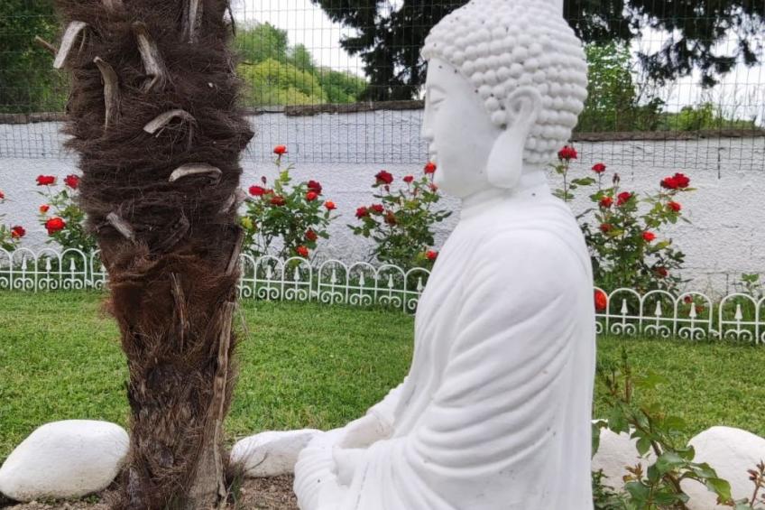 'Dear Peace on the Hill - foto 13