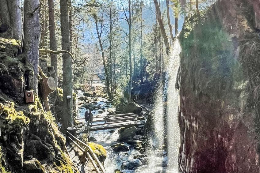 Schwarzwaldhaus St. Blasien, direkt am Bach - foto 47