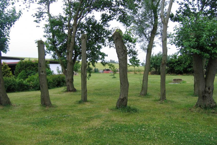 Leuchtturm XL - foto 14