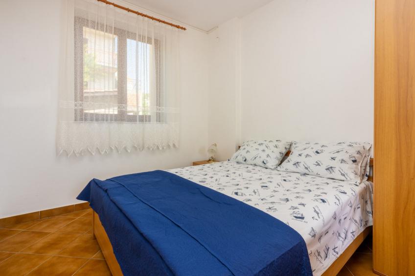 Agava mali / HR-11139-01 - foto 6