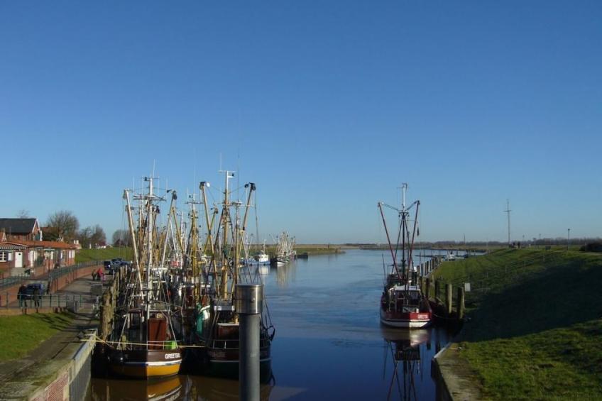 229661 - foto 20