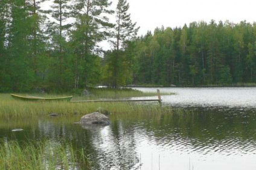Lokki - foto 13