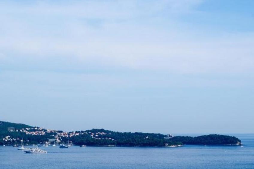 Apartments Olive - Comfort One Bedroom Apartment with Terrace and Sea View - Popolica 50 - foto 6
