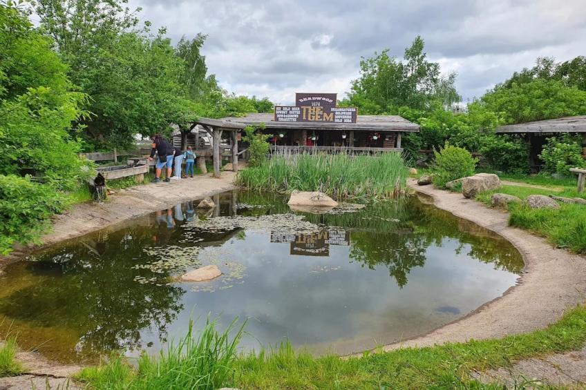 Ferienhaus in Hasselfelde - Haus 47 Blauvogel - foto 25