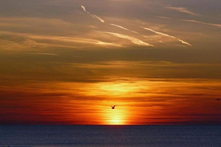 De Strandvogel - foto 37