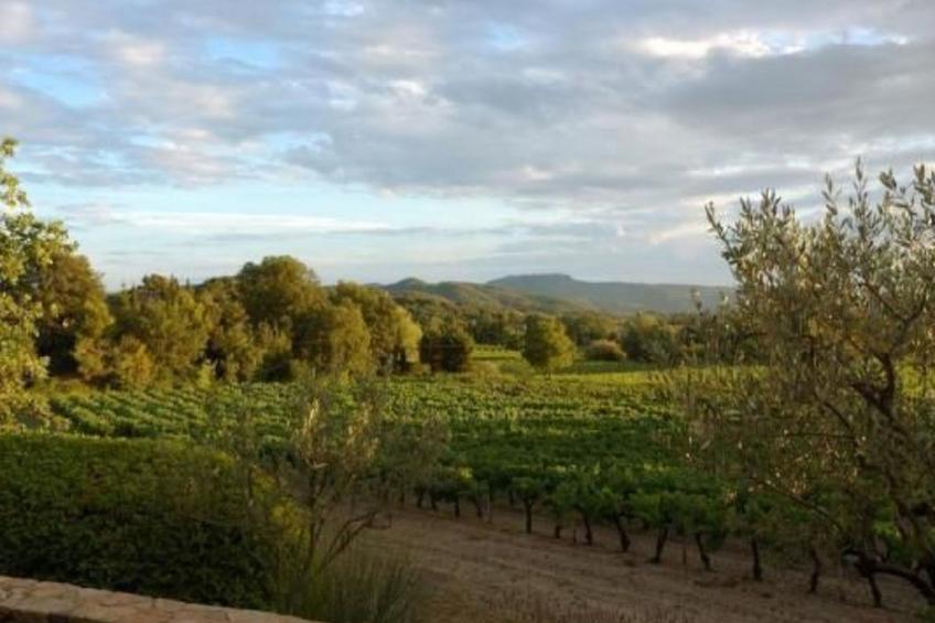 FERIENHAUS, FERIENHAUS "MAISON DE LAVANDE" (LAVENDELHAUS) - foto 24
