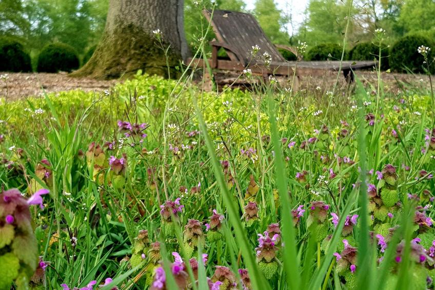 Luxuszeit zu Zweit - foto 28