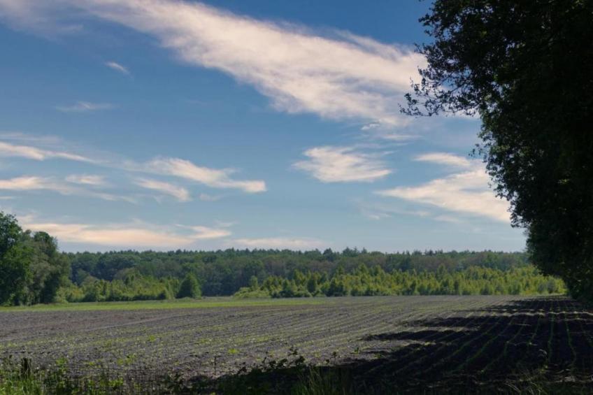 Glamping Resort Lauwersmeer 2 - foto 33