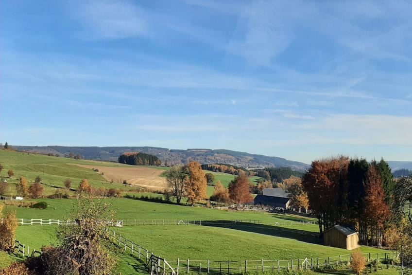 Le Vieux Chene - foto 36