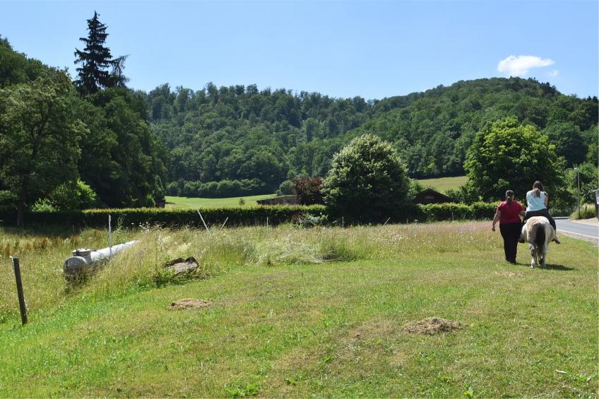 Am Ferienbauernhof - foto 33