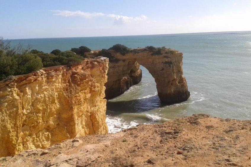 Montanha Vista - foto 36