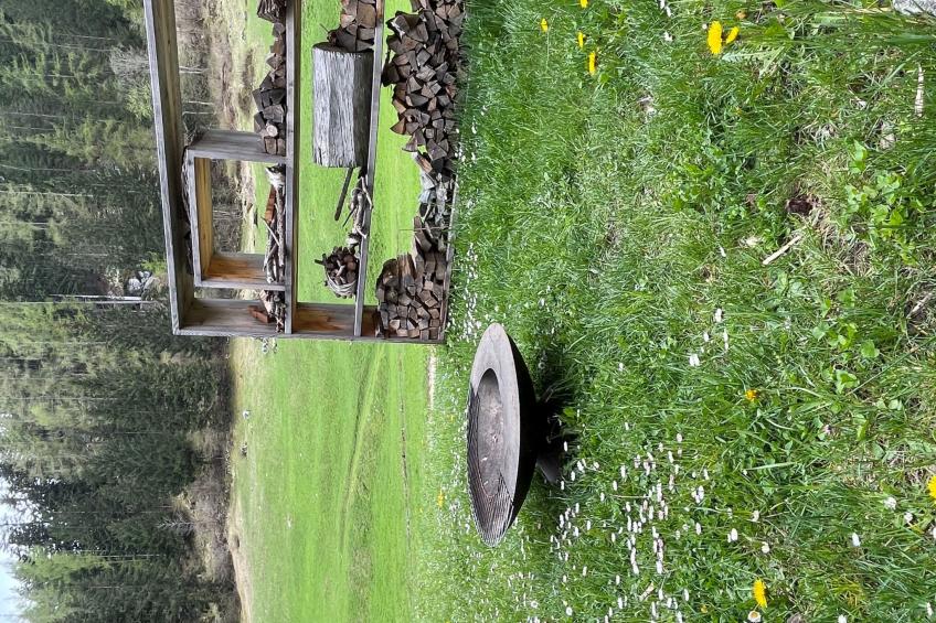 Maiensäss La Scera - foto 43