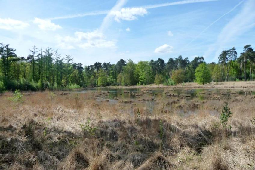 Beach Lodges - foto 18