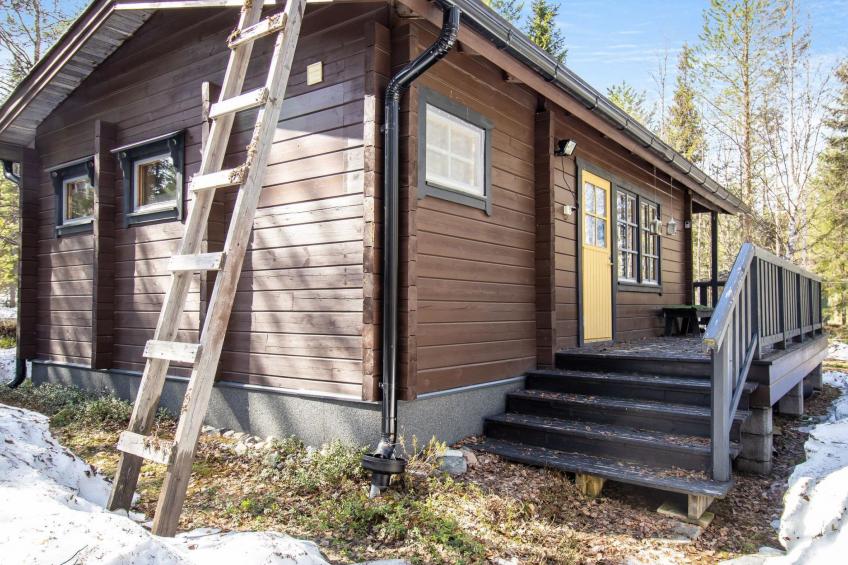 Pyhä pikkukarhu - foto 2