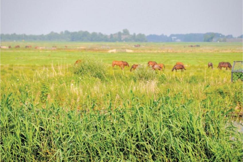 Prachtig appartement in hartje Sneek - foto 17