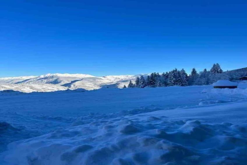 T du Morel A N°17 - 3P5 - foto 38