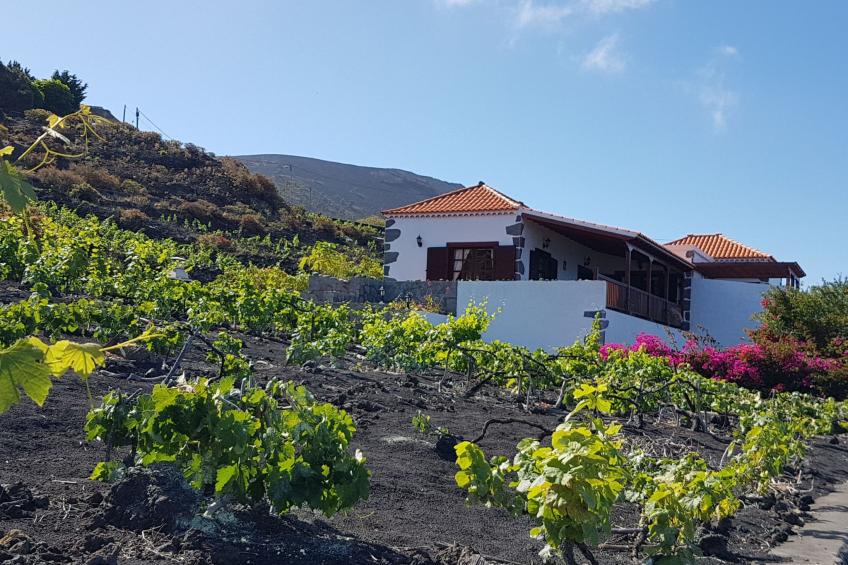 mit Garten und wunderbarer Aussicht - foto 41