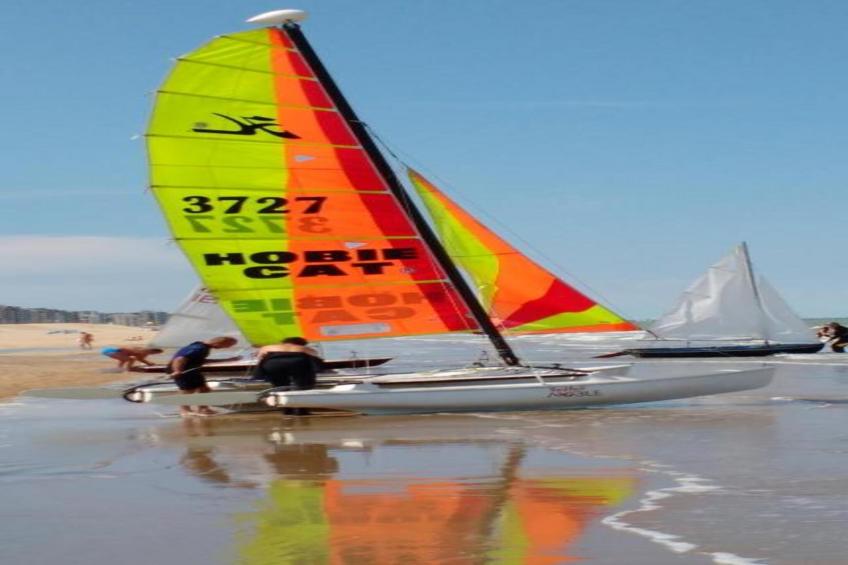 Zilte Rust - foto 34