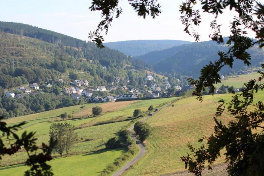 Mühlenberg - foto 15