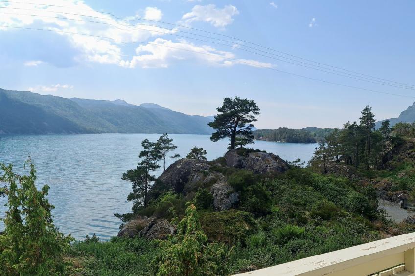 mit Blick auf das Wasser - foto 16