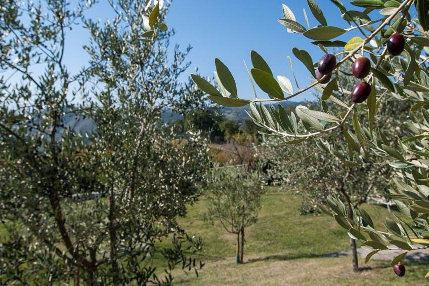 Lindenhaussiedlung mit Gemeinschaftspool - foto 45