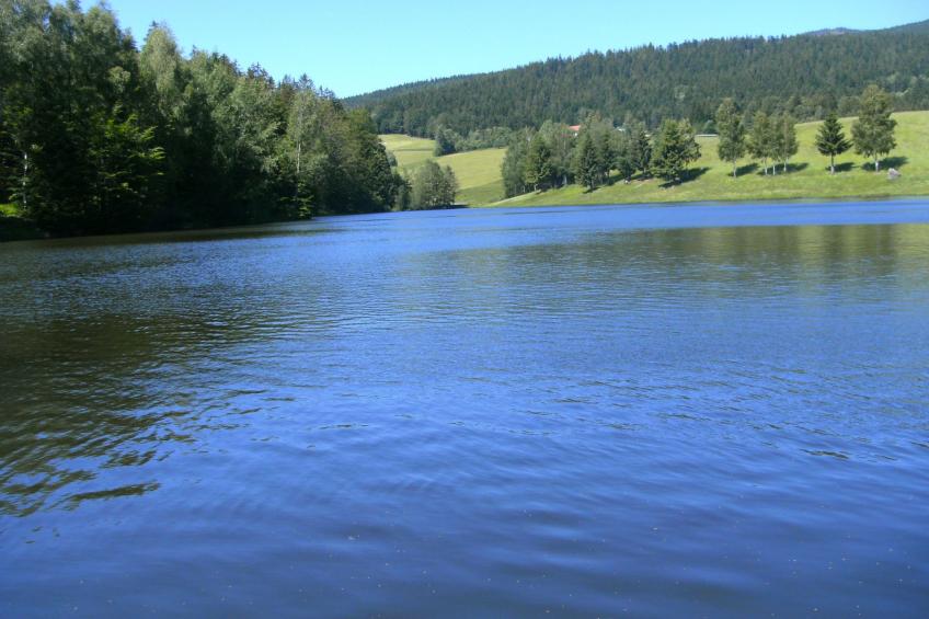 für 4 Personen im Bayerischen Wald - foto 24