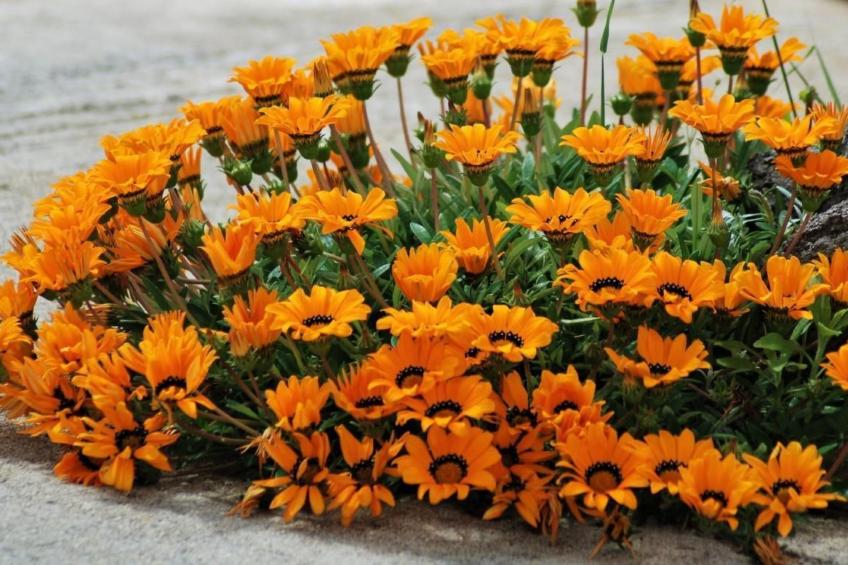 Rustikales Haus in Lukoran mit privatem Parkplatz - foto 28