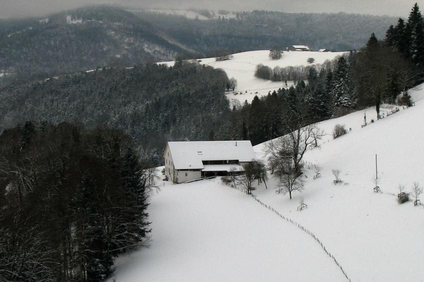 Appartements - Ferme La Joux-Chaupe, (St-Ursanne), - foto 18