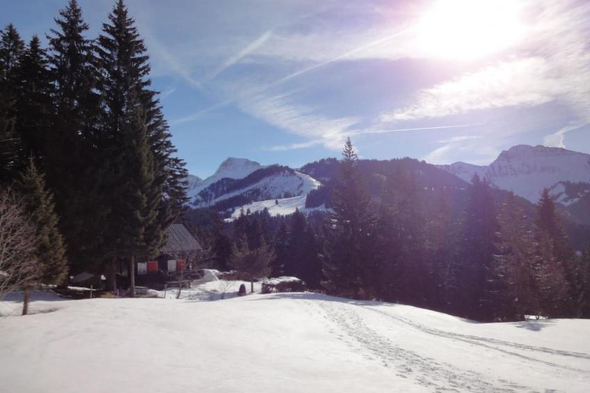 Maiensäss Romantica - foto 27