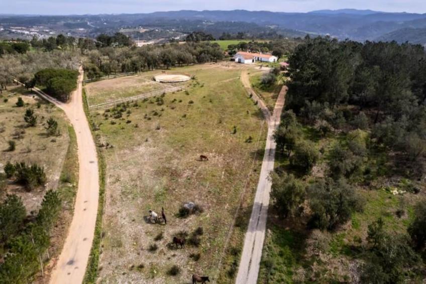 Casinha Da Paz - foto 41