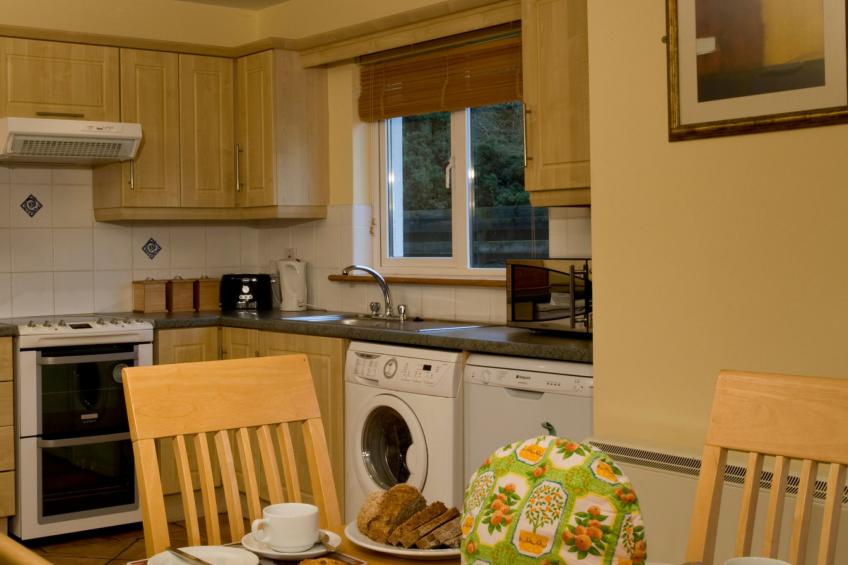 Forest Haven HH No 6 - foto 5