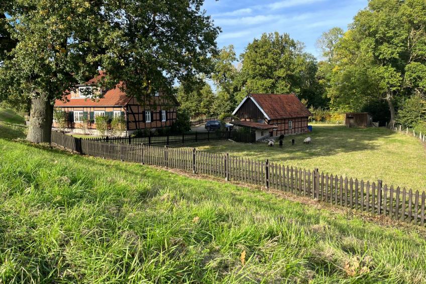 Haus Elbrose inmitten von Rosen mit Elbdeichzugang - foto 4