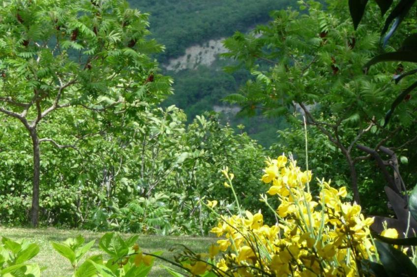 Das Olivenhaus - foto 18