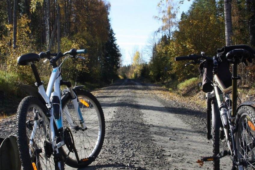 Willkommen im Stable House - foto 42