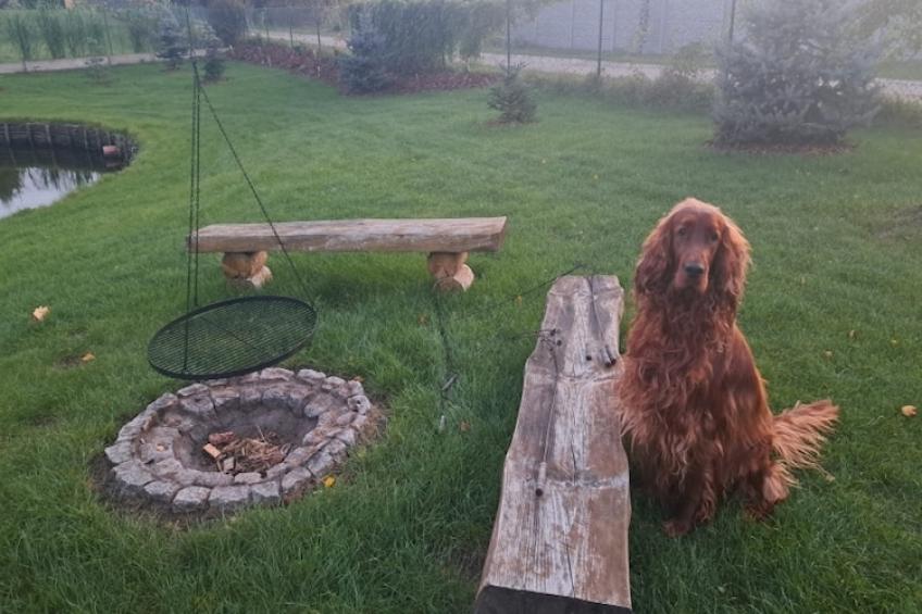 Domek wakacyjny VIP dla max 4 osób w Bałachach - foto 34