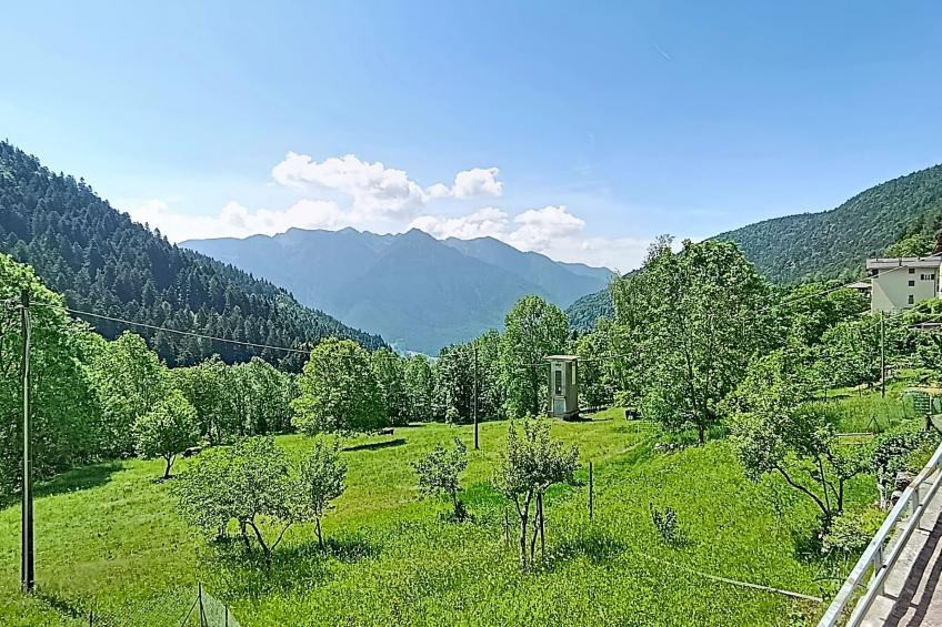 Festér - foto 11