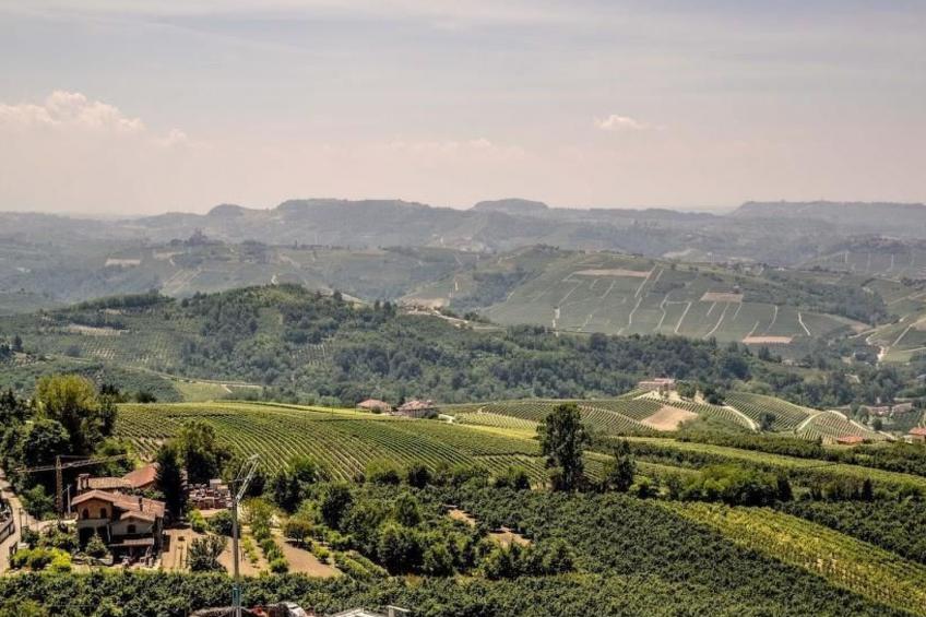 Villa Piemonte - foto 19