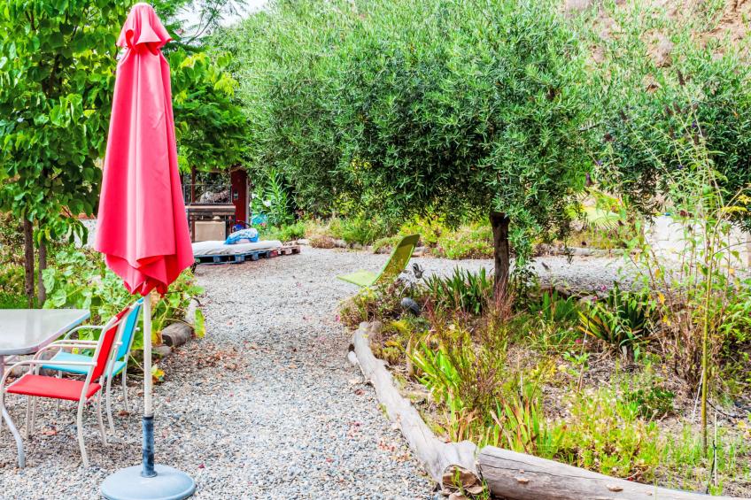 Mariposa - Nido Aguila Blanca - foto 12